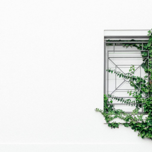 ben-neale-29w9FiMWSr8-unsplash-1024x1024