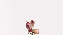 tanalee-youngblood-fsdWYNTymjI-unsplash-1024x1024